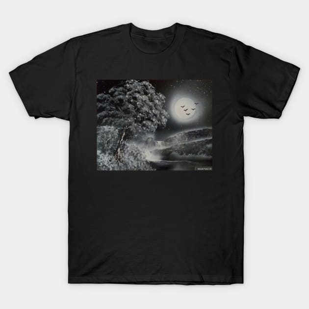 Moonlight Falls T-Shirt by Edwardtiptonart